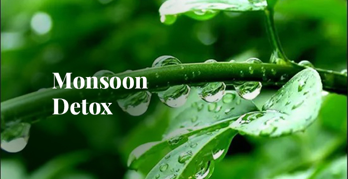 Monsoon Detox: Ayurvedic Techniques for Cleansing