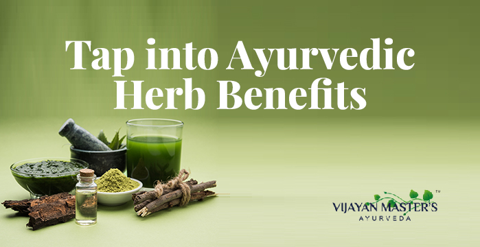 Ayurvedic Herbal Powerhouses: Unlocking Their Incredible Benefits